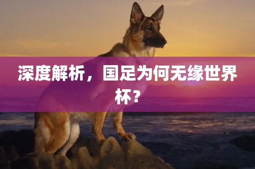 深度解析，国足为何无缘世界杯？