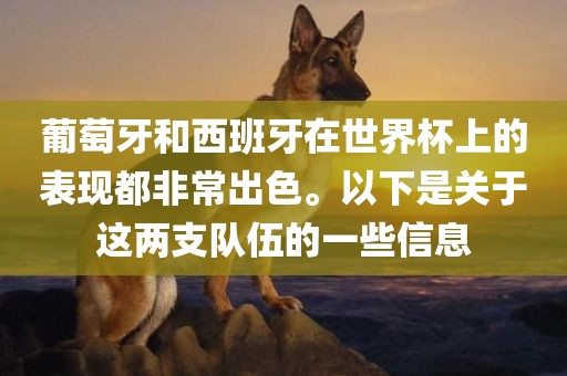 葡萄牙和西班牙在世界杯上的表现都非常出色。以下是关于这两支队伍的一些信息