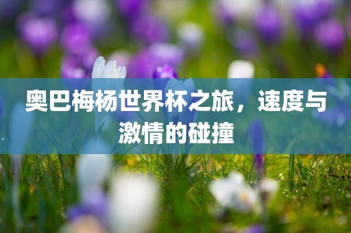 奥巴梅杨世界杯之旅，速度与激情的碰撞