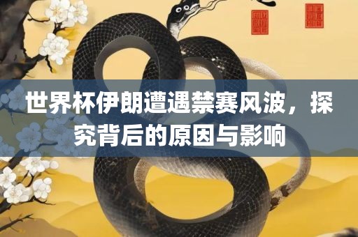 世界杯伊朗遭遇禁赛风波，探究背后的原因与影响