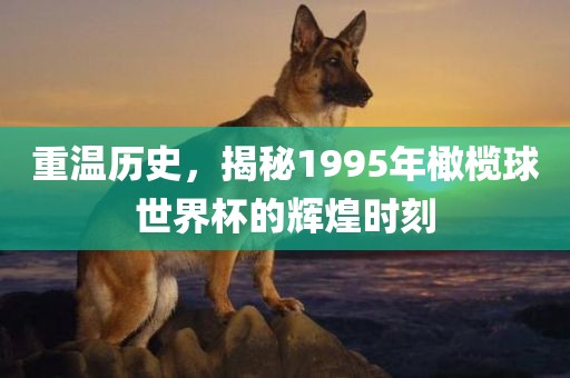 重温历史，揭秘1995年橄榄球世界杯的辉煌时刻