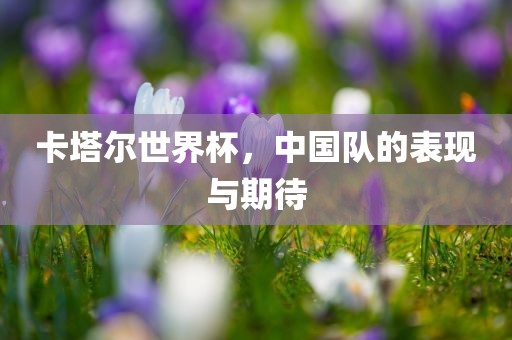 卡塔尔世界杯，中国队的表现与期待