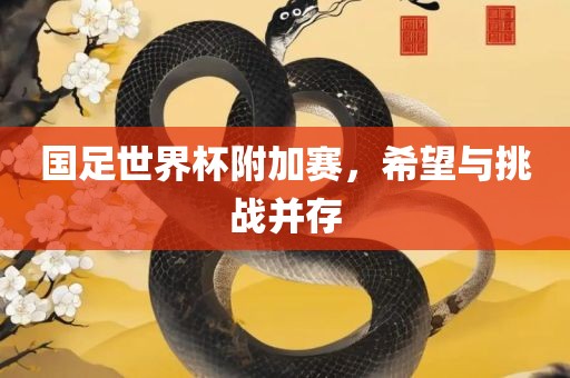 国足世界杯附加赛，希望与挑战并存