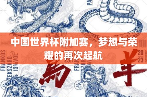 中国世界杯附加赛，梦想与荣耀的再次起航