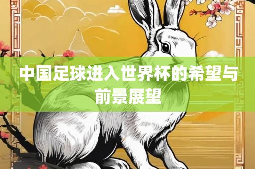 中国足球进入世界杯的希望与前景展望