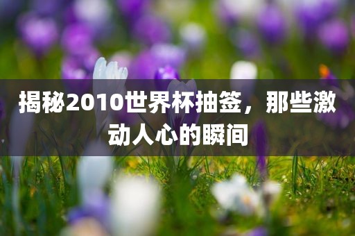 揭秘2010世界杯抽签，那些激动人心的瞬间