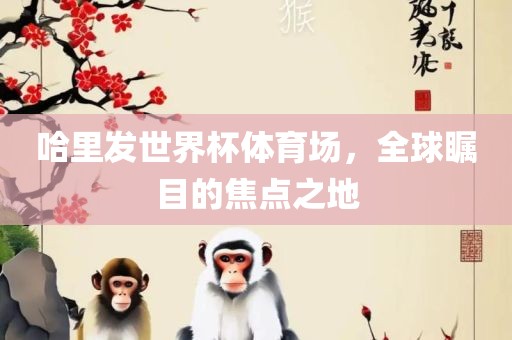 哈里发世界杯体育场，全球瞩目的焦点之地