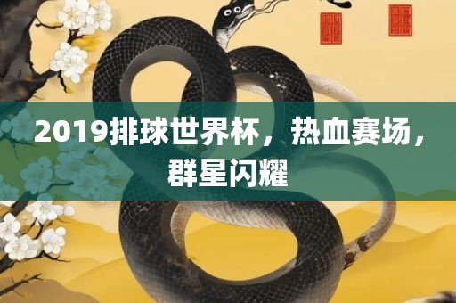 2019排球世界杯，热血赛场，群星闪耀