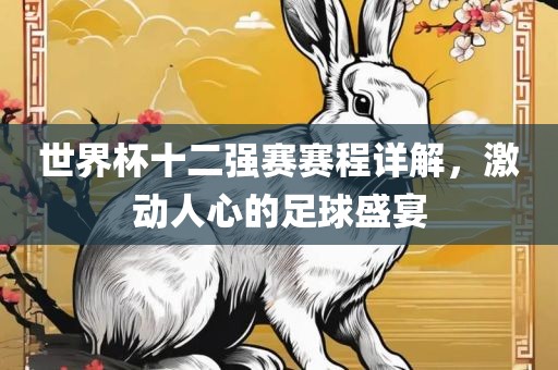 世界杯十二强赛赛程详解，激动人心的足球盛宴
