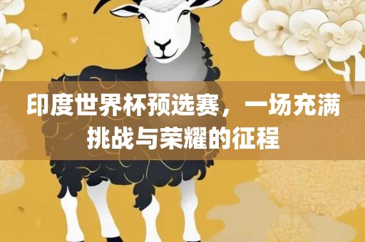 印度世界杯预选赛，一场充满挑战与荣耀的征程