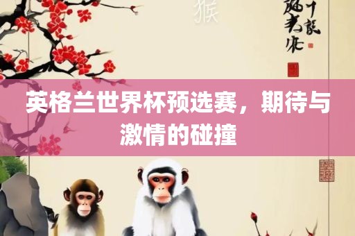 英格兰世界杯预选赛，期待与激情的碰撞