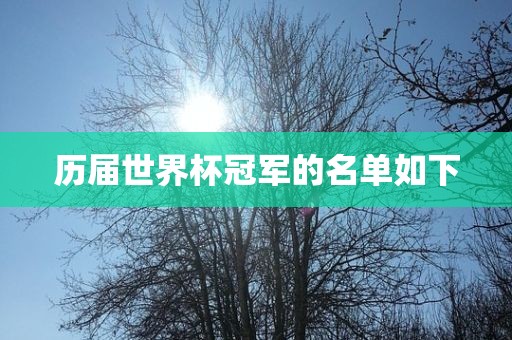 历届世界杯冠军的名单如下