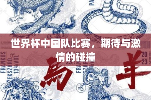 世界杯中国队比赛，期待与激情的碰撞
