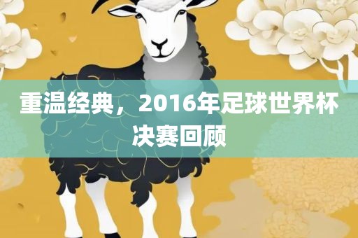 重温经典，2016年足球世界杯决赛回顾