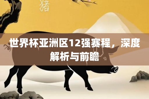 世界杯亚洲区12强赛程，深度解析与前瞻广州鸿业环保设备有限公司
