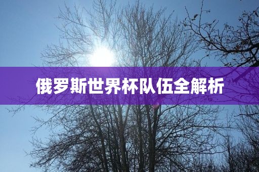 俄罗斯世界杯队伍全解析