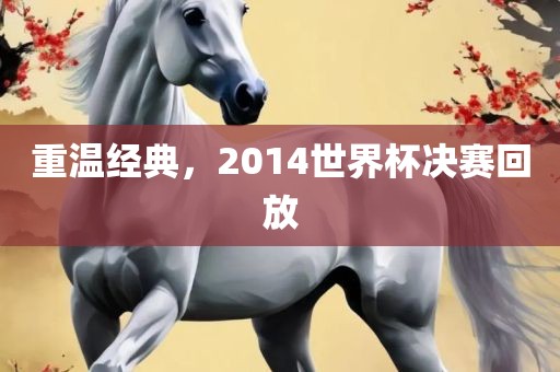 重温经典，2014世界杯决赛回放