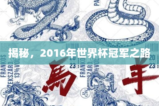 揭秘，2016年世界杯冠军之路