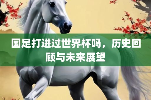 国足打进过世界杯吗，历史回顾与未来展望