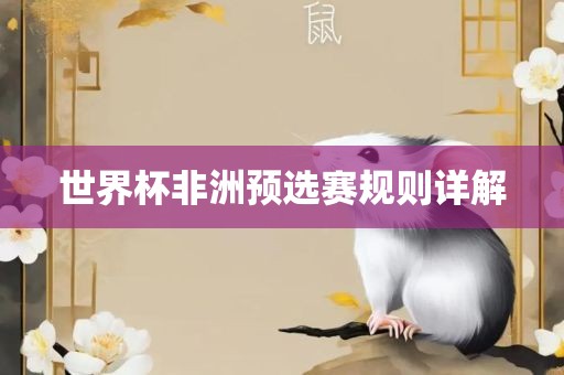 世界杯非洲预选赛规则详解