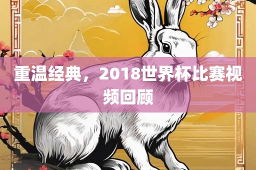 重温经典，2018世界杯比赛视频回顾