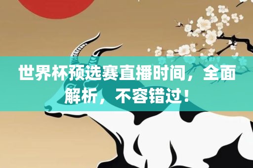 世界杯预选赛直播时间，全面解析，不容错过！
