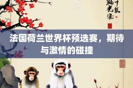 法国荷兰世界杯预选赛，期待与激情的碰撞