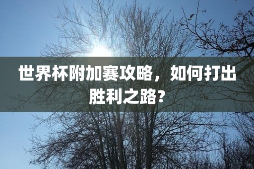 世界杯附加赛攻略，如何打出胜利之路？