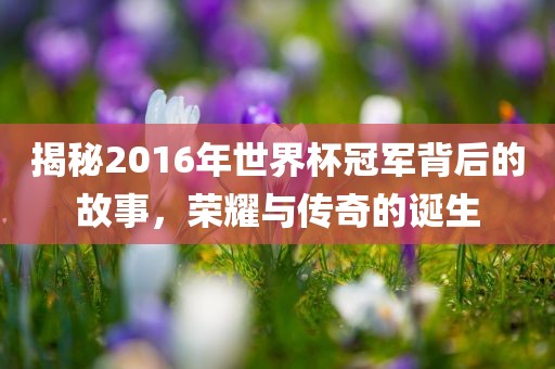 揭秘2016年世界杯冠军背后的故事，荣耀与传奇的诞生