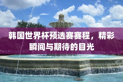 韩国世界杯预选赛赛程，精彩瞬间与期待的目光