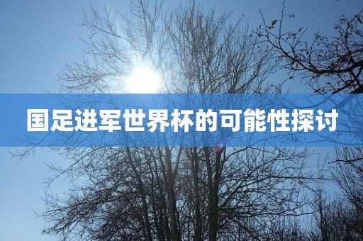 国足进军世界杯的可能性探讨