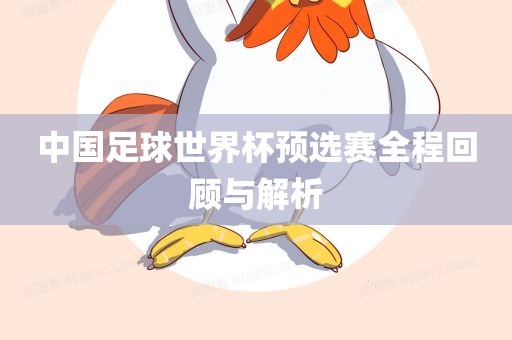 中国足球世界杯预选赛全程回顾与解析