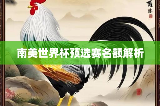 南美世界杯预选赛名额解析
