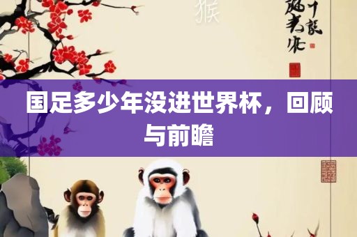 国足多少年没进世界杯，回顾与前瞻
