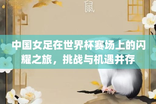 中国女足在世界杯赛场上的闪耀之旅，挑战与机遇并存