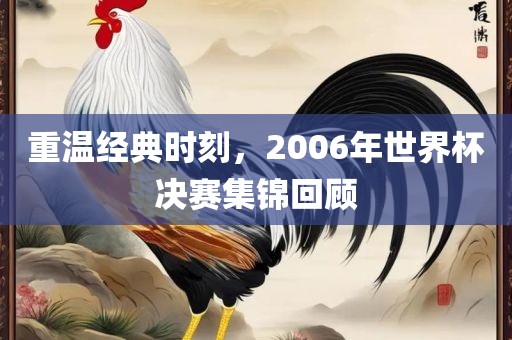 重温经典时刻，2006年世界杯决赛集锦回顾