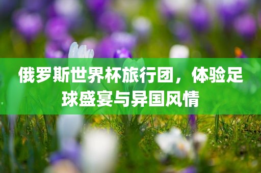 俄罗斯世界杯旅行团，体验足球盛宴与异国风情