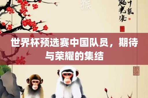 世界杯预选赛中国队员，期待与荣耀的集结