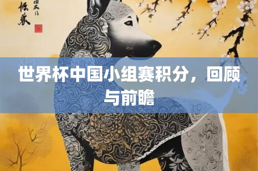 世界杯中国小组赛积分，回顾与前瞻