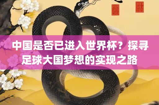 中国是否已进入世界杯？探寻足球大国梦想的实现之路