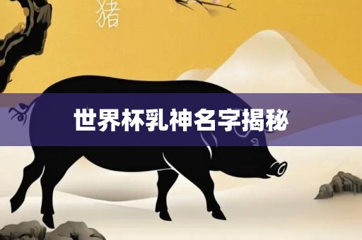 世界杯乳神名字揭秘