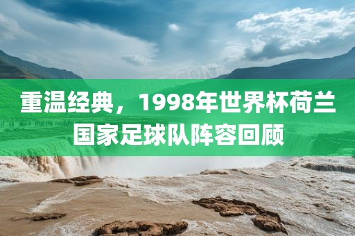 重温经典，1998年世界杯荷兰国家足球队阵容回顾