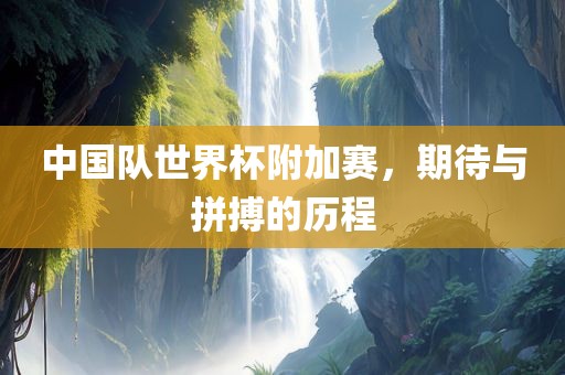 中国队世界杯附加赛，期待与拼搏的历程