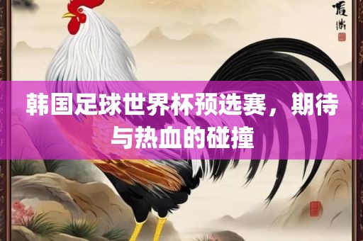 韩国足球世界杯预选赛，期待与热血的碰撞