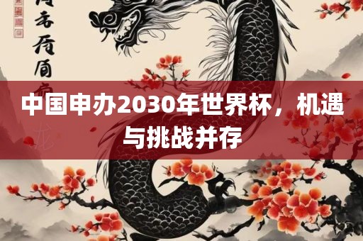 中国申办2030年世界杯，机遇与挑战并存