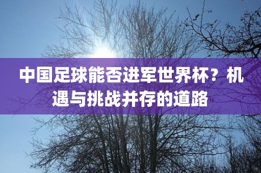 中国足球能否进军世界杯？机遇与挑战并存的道路