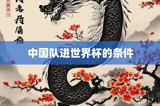 中国队进世界杯的条件