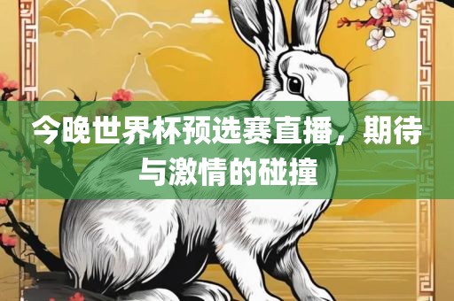 今晚世界杯预选赛直播，期待与激情的碰撞