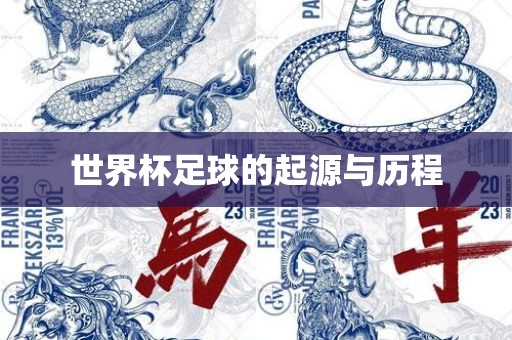 世界杯足球的起源与历程