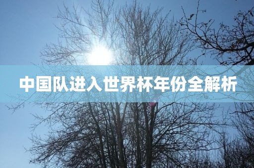 中国队进入世界杯年份全解析